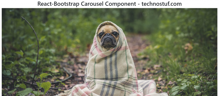 react-bootstrap-carousel-component-example-technostuf