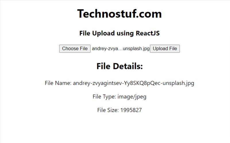 reactjs file upload